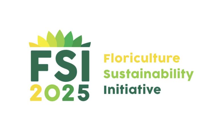 fsi